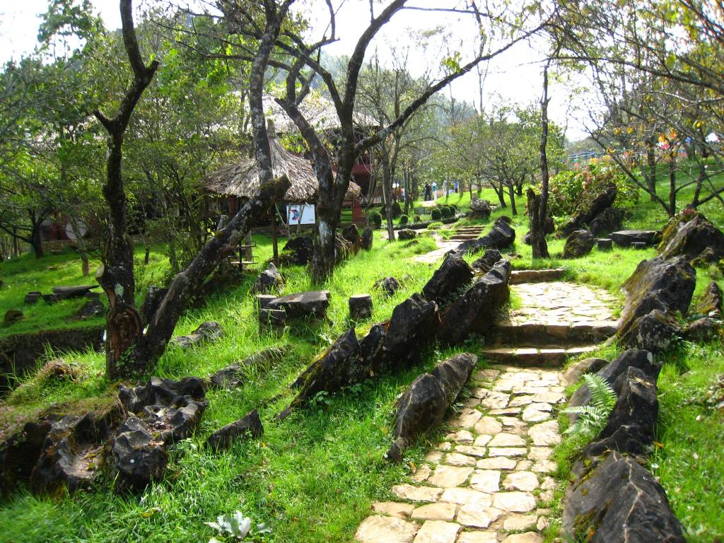 Hình ảnh IMG_1868 - Sapa