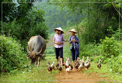 Hình ảnh 2008_01_26_559502 - Khu di tích Kim Liên