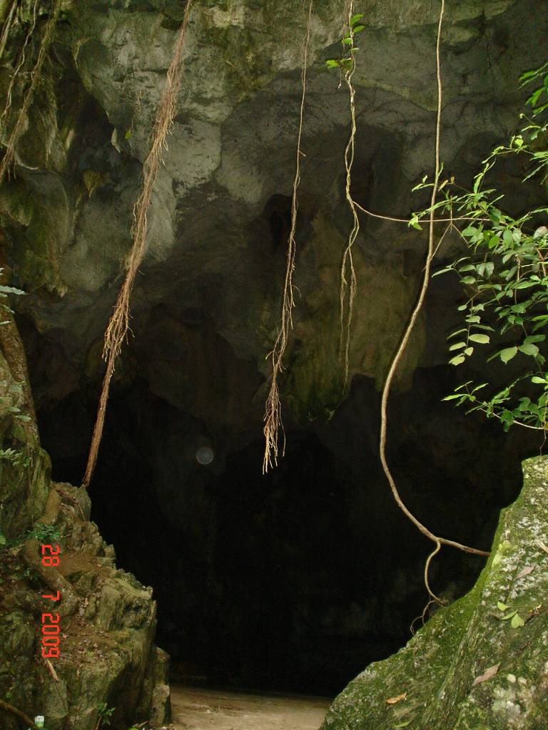 Hình ảnh DSC00089 - Đảo Cát Bà
