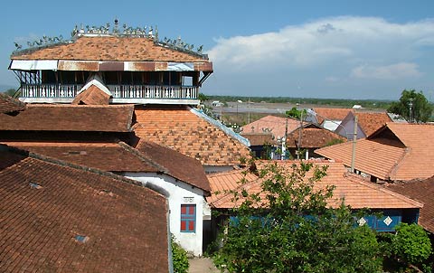 Hình ảnh Nha ong lon - Vũng Tàu