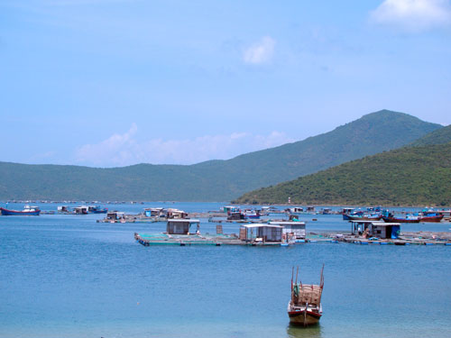 Hình ảnh cang Dam Mon2_vinh van phong - Đầm Môn