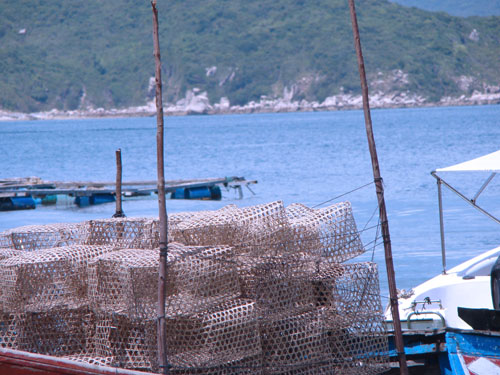 Hình ảnh cang Dam Mon8_vinh van phong - Đầm Môn