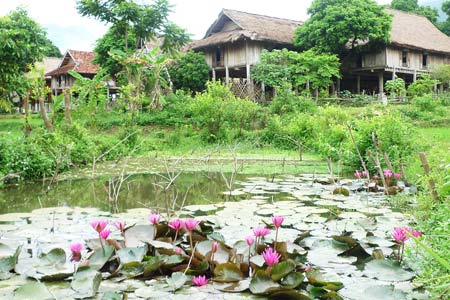 Hình ảnh a6 - Thung lũng Mai Châu