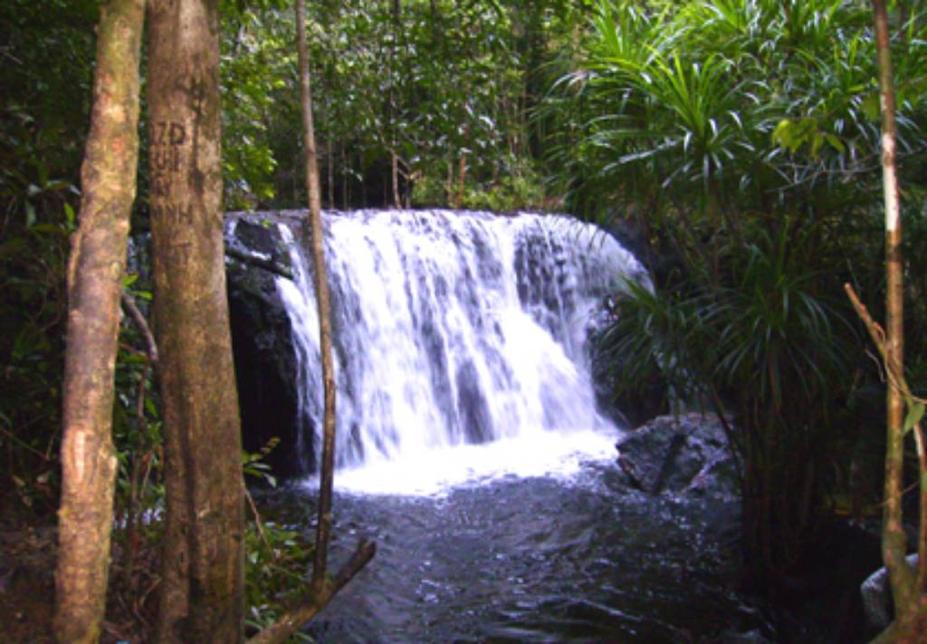 Hình bài viết Suối Tranh