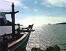 Hình bài viết Hành trình về chốn hoang sơ
