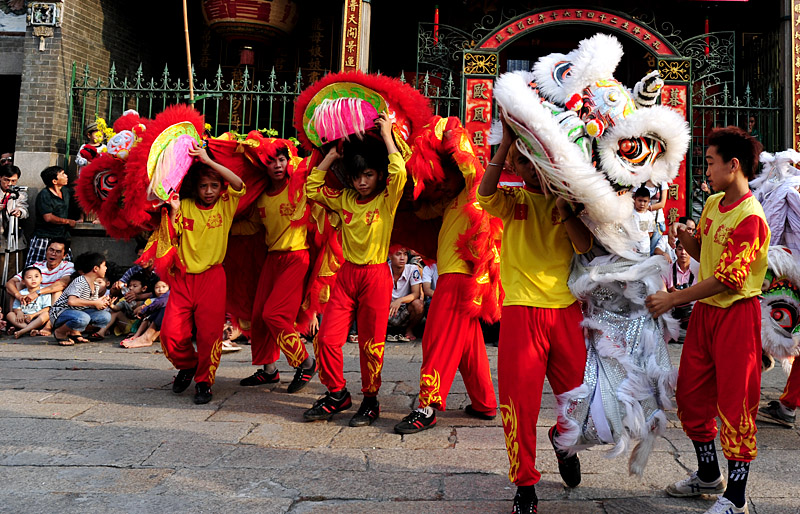 Hình ảnh lansu (1) - Việt Nam