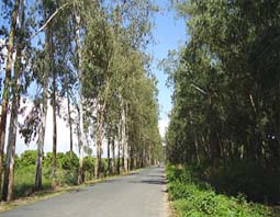 Hình ảnh Nong Truong Song Hau 2.jpg - Nông trường sông Hậu