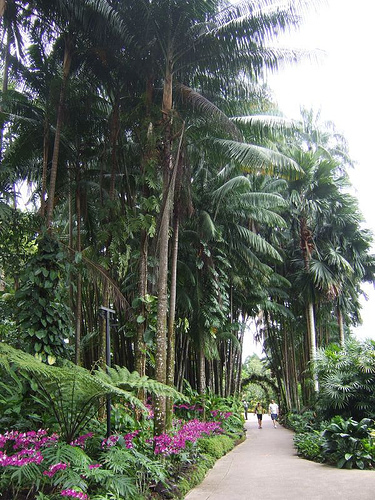 Hình ảnh National Orchid Garden By  Helen & Richard