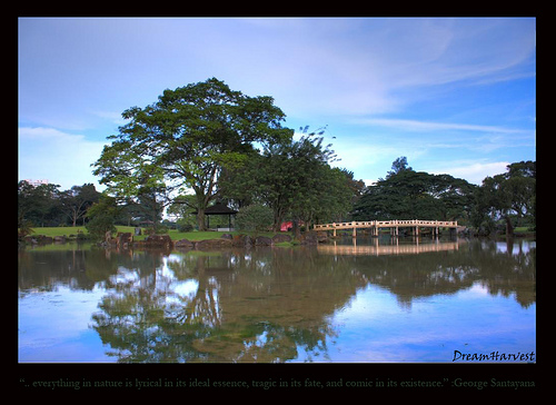 Hình ảnh  Chinese  Garden By Dream.Harvest