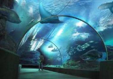 Hình ảnh Siam Ocean World 6.jpg - Công viên Đại dương nước Siam