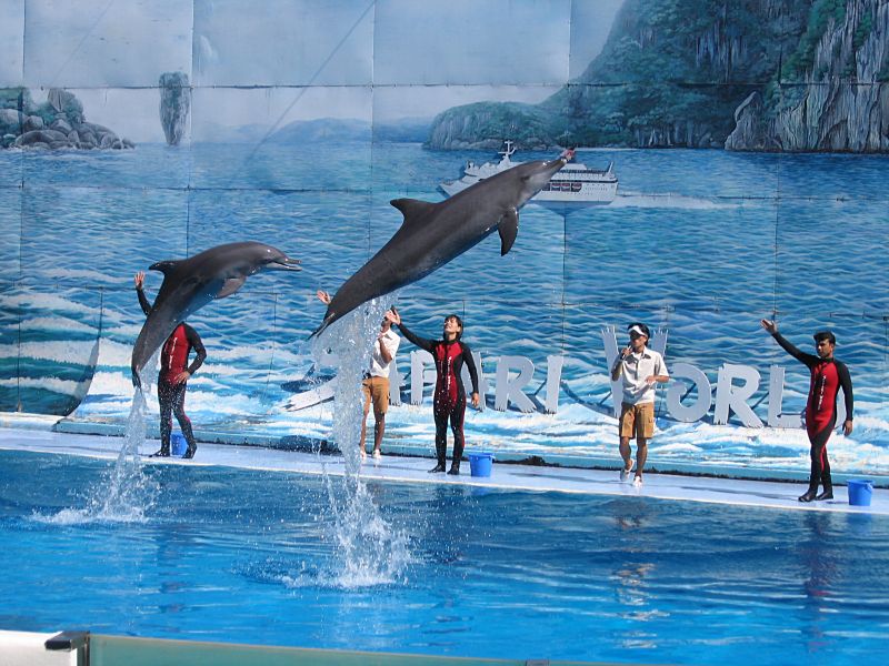 Hình ảnh Safari World 2.jpg - Vườn thú Safari World