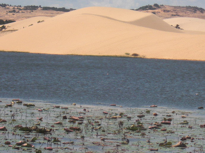 Hình bài viết Du lịch Phan Thiết