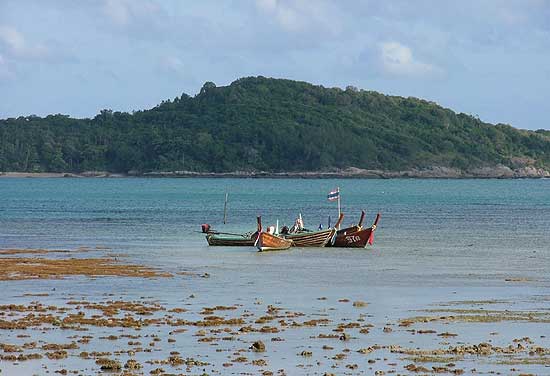 Hình ảnh rawai-beach02.jpg - Bãi biển Rawai