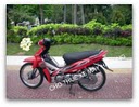 Hình bài viết Bài viết mới