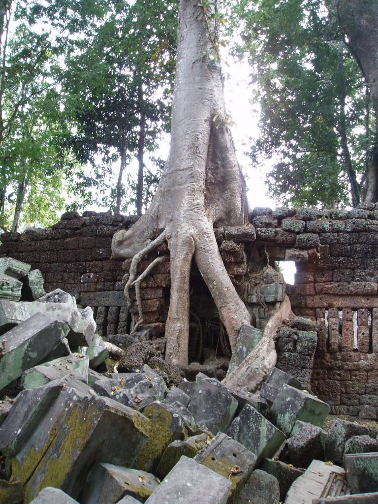 Hình ảnh TaProhm 3.jpg - Ta Prohm