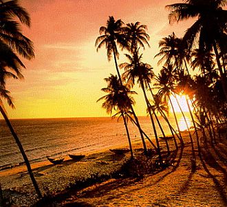 Hình bài viết Ăn chơi toàn tập ở Mũi Né - Phan Thiết