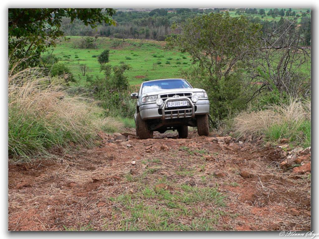 Hình ảnh Groenkloof Nature Reserve (1).jpg - Groenkloof Nature Reserve