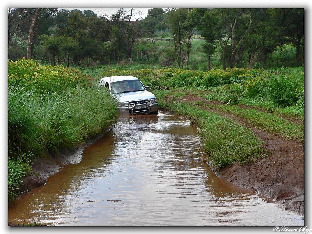 Hình ảnh Groenkloof Nature Reserve (6).jpg - Groenkloof Nature Reserve