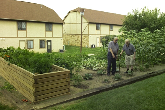 Hình ảnh Vườn rau của mỗi nhà - Mayfair Retirement Village
