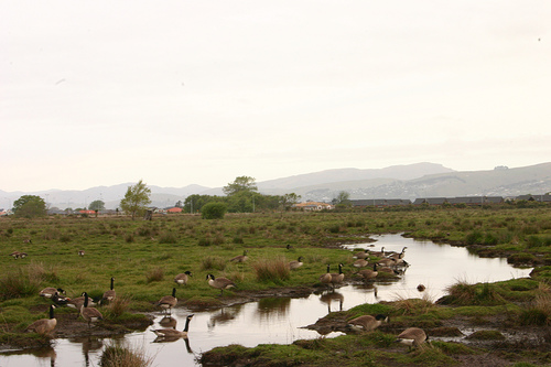 Hình ảnh dòng suối nhỏ - Travis Wildlife Reserve