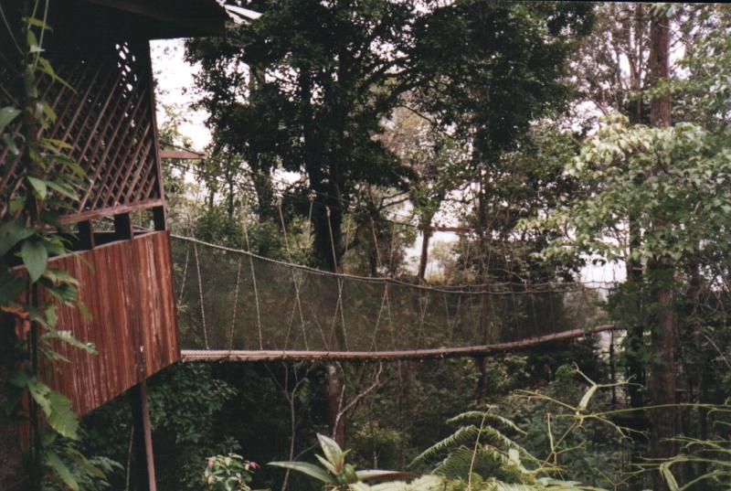 Hình ảnh 2.jpg - Penang Hill