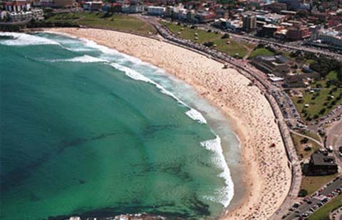Hình ảnh Toan canh bai bien bondi.jpg - Bãi biển Bondi