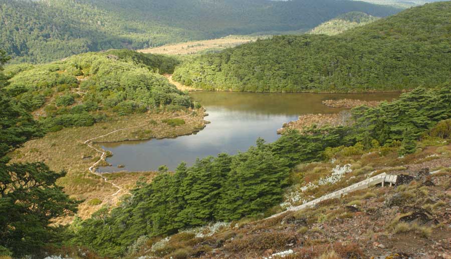 Hình ảnh Cao nguyên new zealand - New Zealand