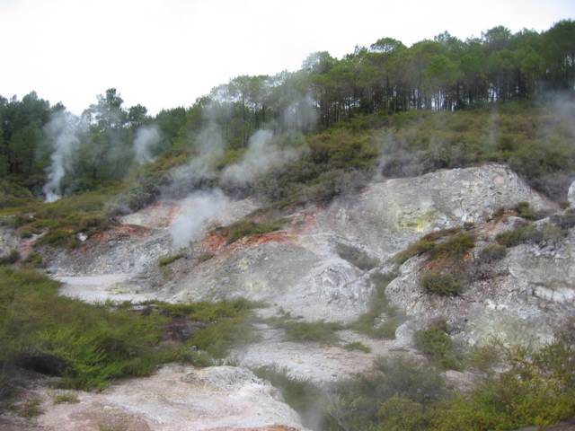 Hình ảnh Một quả đồi Rotorua - Rotorua