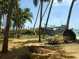 Hình ảnh BoatsonBeach.jpg - Coco Beach Resort