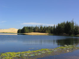 Hình ảnh WhiteLake.jpg - Coco Beach Resort