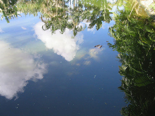 Hình ảnh 158697386_aac03dbac8.jpg - Công viên Crocodylus