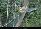 Hình ảnh Gunung Mulu03.jpg - Công viên quốc gia Gunung Mulu