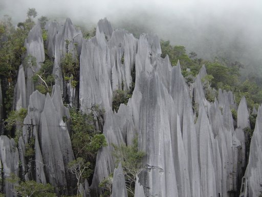 Hình ảnh Mulu.jpg - Công viên quốc gia Gunung Mulu