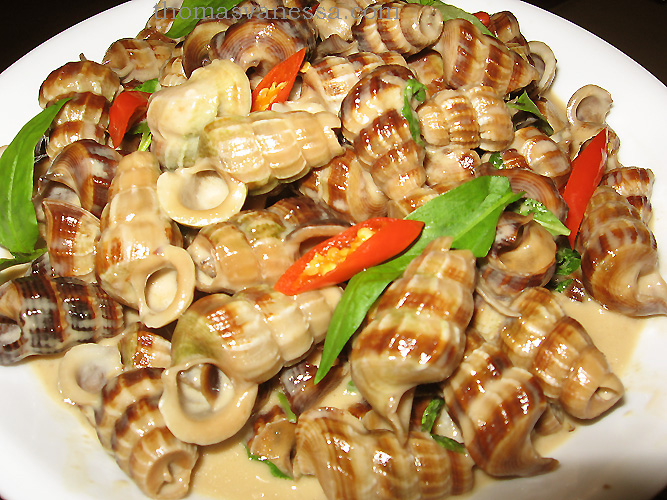 Hình bài viết Tản mạn ốc Sài Gòn