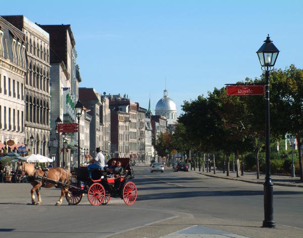Hình ảnh Tham quan thành phố bằng xe ngựa - Montreal