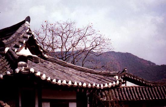 Hình bài viết 