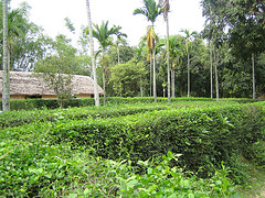 Hình bài viết Vẻ đẹp Vinh