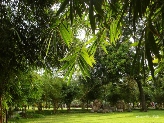 Hình bài viết Những khu nghỉ dường thiên nhiên giá hợp lý nhất Sài Gòn.