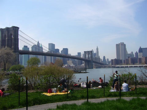 Hình ảnh NY6.jpg - New York