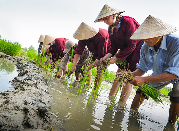 Hình bài viết Những trải nghiệm đáng nhớ khi ở Việt Nam