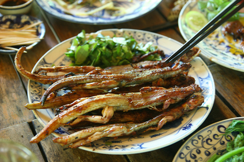 Hình bài viết Dông Phan Thiết- Món ngon khó cưỡng