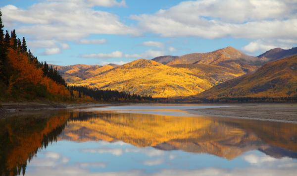 Hình bài viết Ghé thăm Yukon hòn ngọc lục bảo của Canada