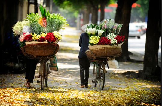 Hình bài viết Nhớ mùa thu phố cổ