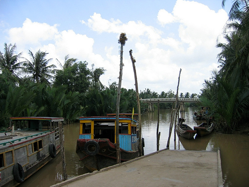 Hình ảnh Cù Lao Dung - Cù Lao Dung