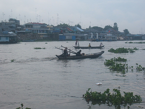 Hình ảnh Cồn Tiên - Cồn Tiên