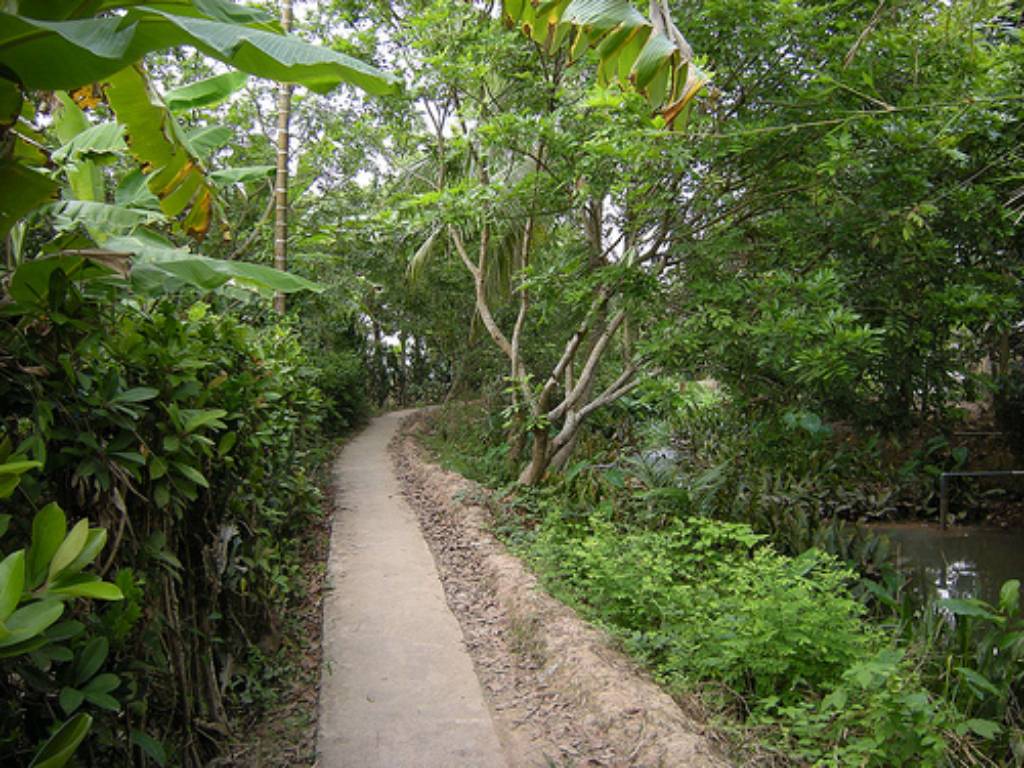 Hình ảnh Cù lao An Bình - Cù lao An Bình