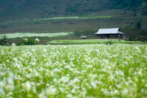 Hình bài viết Những điểm đến tuyệt vời cho tết dương này