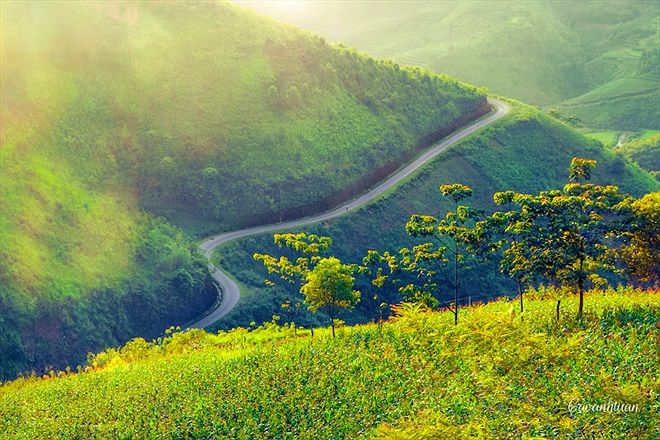 Hình bài viết Cung đường đá nở hoa ở Hà Giang