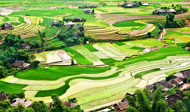 Hình bài viết Bản Thái vào xuân