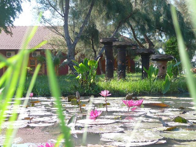 Hình ảnh dengion3.jpg - Resort Đen Giòn